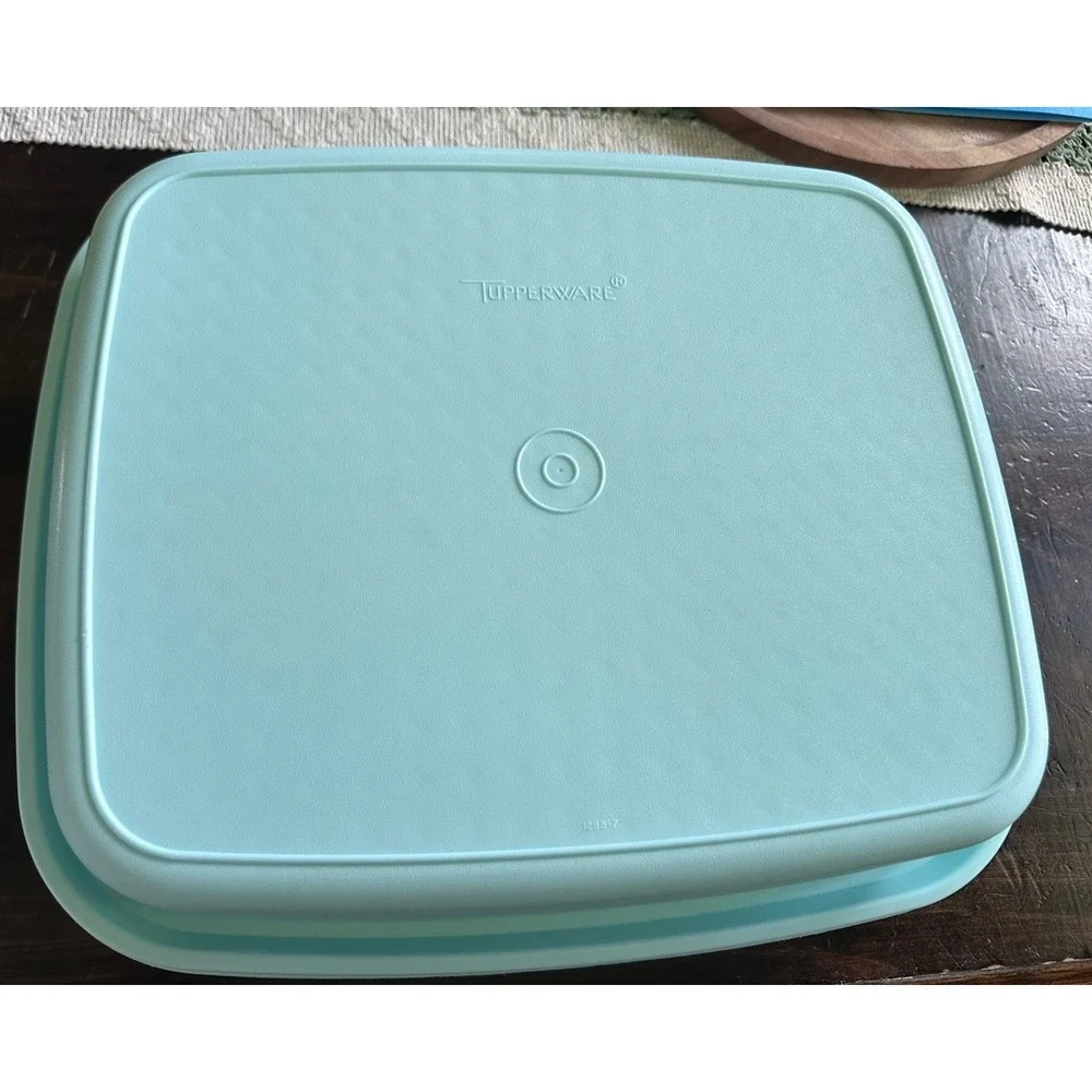 Vintage Tupperware Meat Marinade Container Season N Serve Aqua Mint # 1295‎ 1294